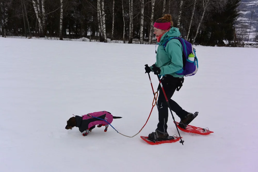Met mijn teckel sneeuwschoenwandelen in Oostenrijk