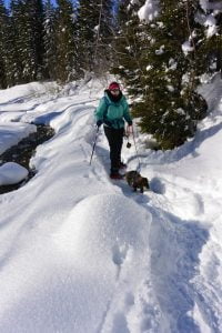Sneeuwschoenwandelen met de hond in Oostenrijk
