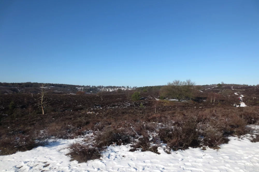 Natuurgebied met hoogteverschillen Veluwezoom-Posbank