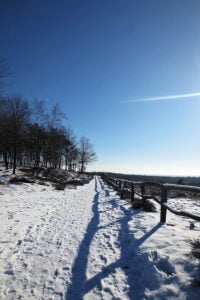 Besneeuwd pad tijdens de wandeling Veluwezoom-Posbank
