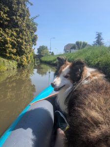 Kanovaren met hond