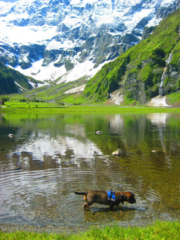 Bergmeer in Oostenrijk