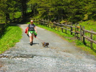 Wandelen met de hond bij de Hintersee