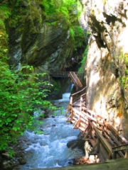 Met de hond in de kloof in Oostenrijk