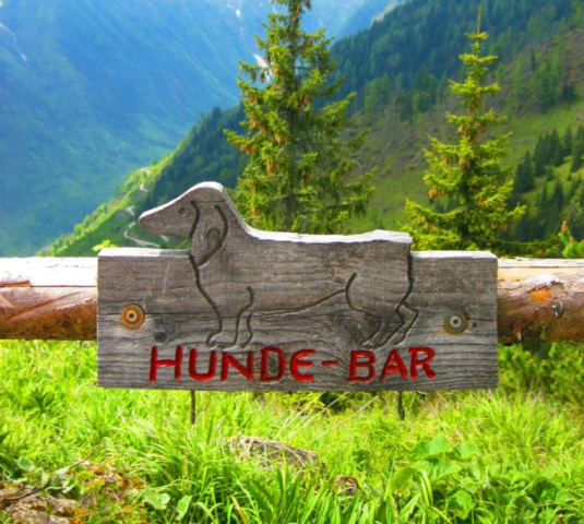Hunde-bar in Oostenrijk
