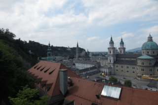 Met de honden op vakantie in Salzburg stad