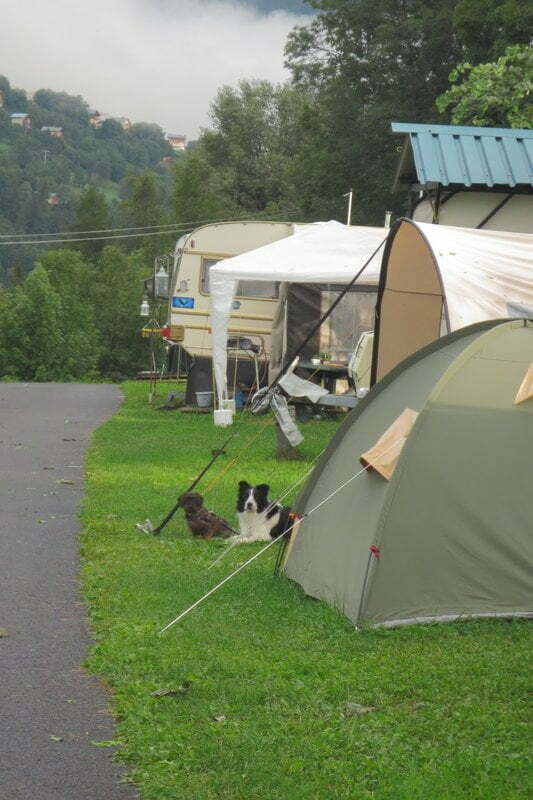 Honden bij de tent in Frankrijk