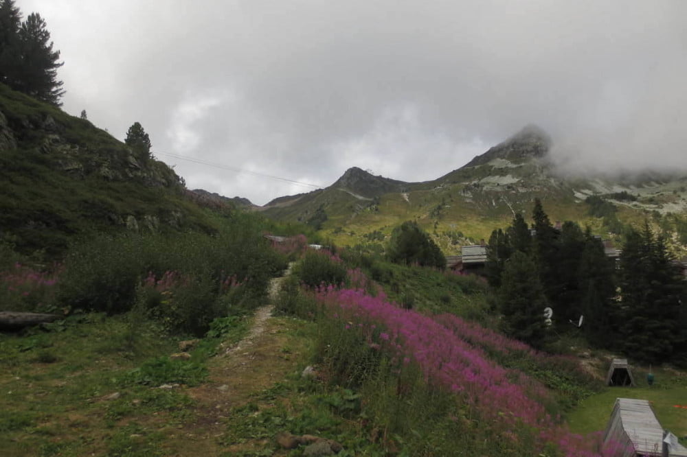 Natuur in de Franse Alpen