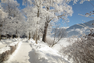 Zell am See
