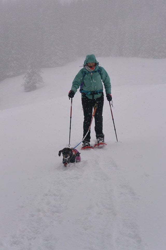 Met de hond wandelen in de diepe sneeuw in Oostenrijk