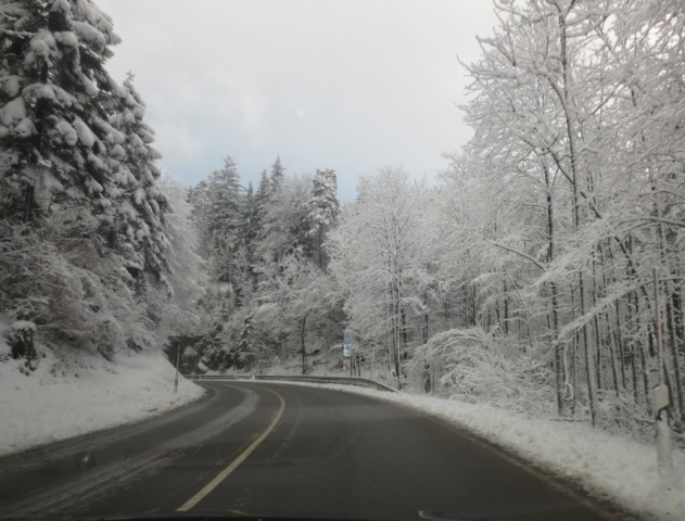 Besneeuwde bomen in Oostenrijk onderweg naar huis