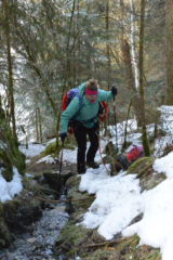 Wandelen met de teckel in de winter in de bergen