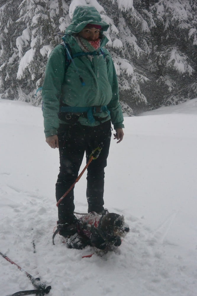 Sneeuwschoenwandelen in Oostenrijk met de hond