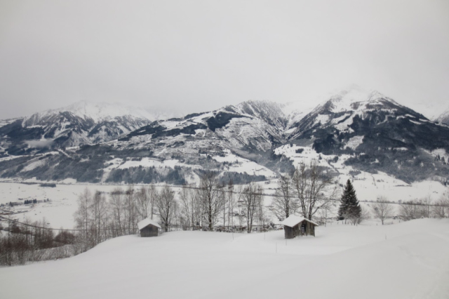 Uitzicht op besneeuwde bergen in Oostenrijk