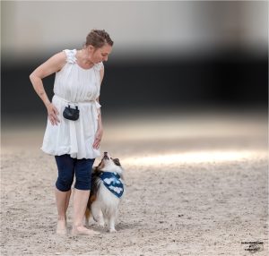 Sheltie doet met eigenaar aan de dogdance hondensport