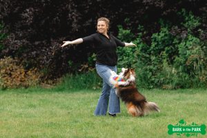 Sheltie doet pootjes op been handler tijdens een demo dogdance