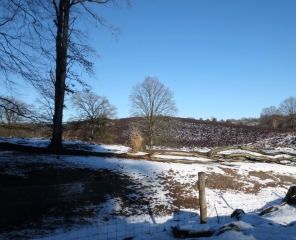 Veluwezoom-Posbank Natuurgebied Veluwezoom-Posbank