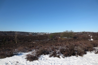 Veluwezoom-Posbank Natuurgebied met hoogteverschillen Veluwezoom-Posbank