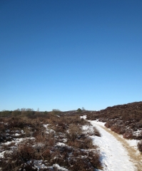 Veluwezoom-Posbank Natuurgebied met hoogteverschillen Veluwezoom-Posbank