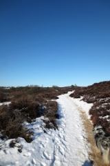 Veluwezoom-Posbank Natuurgebied met hoogteverschillen Veluwezoom-Posbank