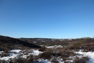 Veluwezoom-Posbank Natuurgebied met hoogteverschillen Veluwezoom-Posbank