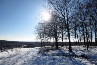 Veluwezoom-Posbank Besneeuwd pad tijdens de wandeling Veluwezoom-Posbank