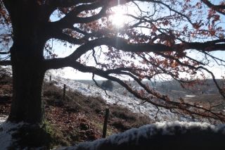 Veluwezoom-Posbank Natuurgebied Veluwezoom-Posbank