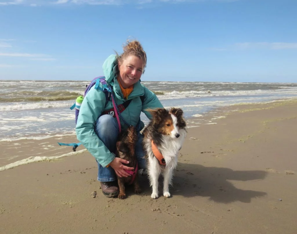 met de honden op het strand