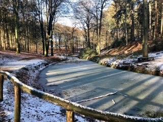 Veluwezoom-Posbank Wandeling Veluwezoom-Posbank