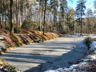 Veluwezoom-Posbank Wandeling Veluwezoom-Posbank