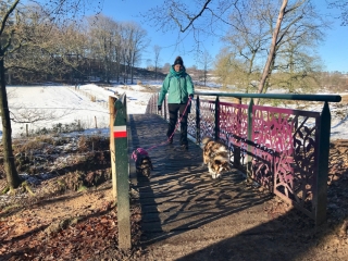 Veluwezoom-Posbank Wandelbrug Veluwezoom-Posbank
