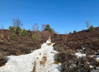 Veluwezoom-Posbank Hoogteverschillen tijdens de wandeling Veluwezoom-Posbank