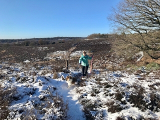 Veluwezoom-Posbank Hoogteverschillen tijdens de wandeling Veluwezoom-Posbank