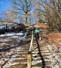 Veluwezoom-Posbank Hoogteverschillen tijdens de wandeling Veluwezoom-Posbank