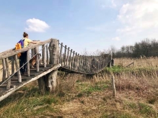 Samen met de hond de hangbrug over in natuurgebied de Plateaux-Hageven