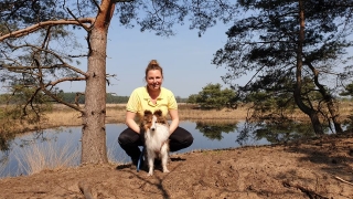 Filou de sheltie van OutDoor - Waarom met hond alles twee keer zo leuk is