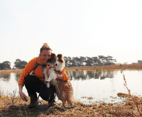 Filou de sheltie van OutDoor - Waarom met hond alles twee keer zo leuk is!