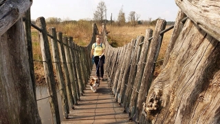 Samen met de hond de hangbrug over tijdens de wandeling met de Japanse krulstaarten
