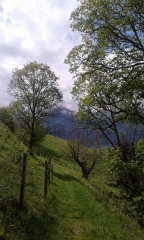 Wandelen in de Oostenrijkse Alpen Steile paadjes in de Oostenrijkse Alpen