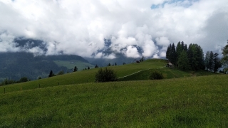 Oostenrijkse Alpenweiden