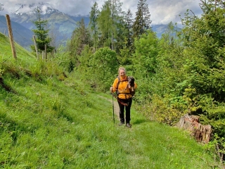 Met teckel wandelen in de bergen
