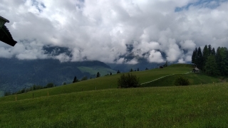 Oostenrijkse Alpenweiden