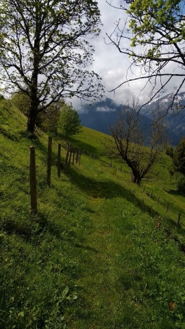 Steile paadjes in de Oostenrijkse Alpen