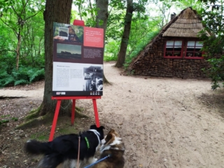 Honden in Veenpark