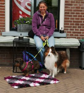 Op vakantie met teckel en sheltie