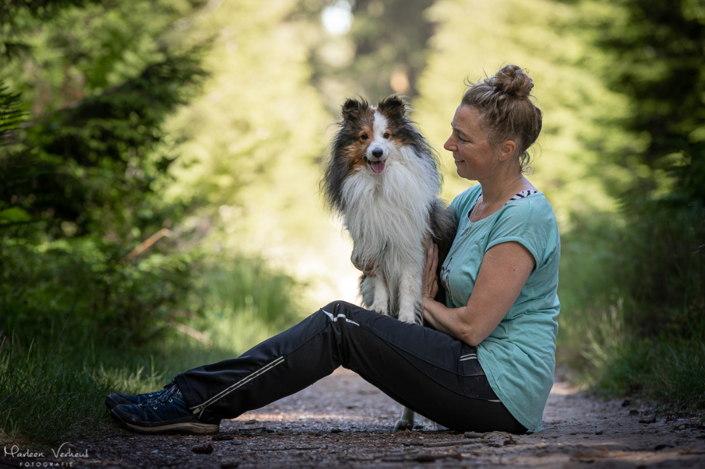 Sheltie met eigenaar